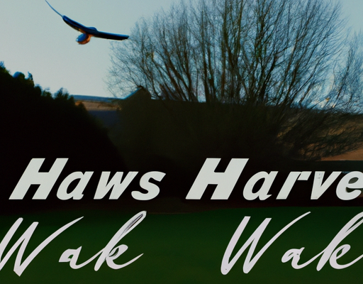 Hawks sign Wesley Matthews