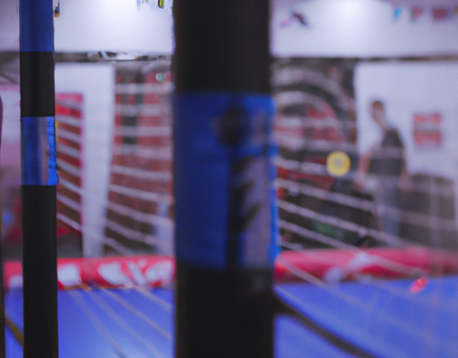 ESBL to stage youth cagefest in September